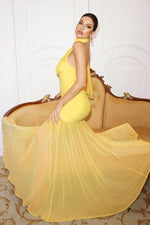 Load image into Gallery viewer, Ulasa Sleeveless Ruched Mesh Maxi Dress