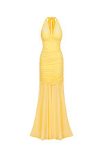 Load image into Gallery viewer, Ulasa Sleeveless Ruched Mesh Maxi Dress